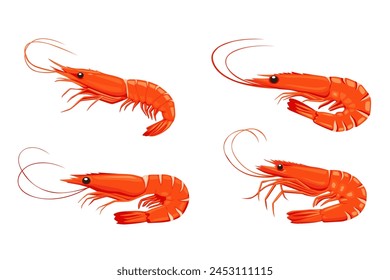 Shrimp icon. Boiled Prawn in shell on a white background. Realistic vector illustration