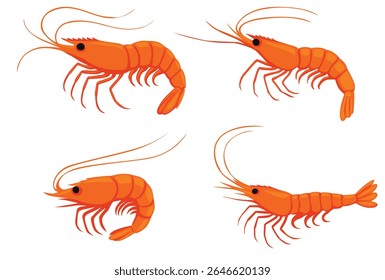 Shrimp icon. Boiled Prawn in shell on a white background. Realistic vector illustration	