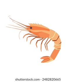 Shrimp icon. Boiled shrimp in shell. Vector illustration isolated on white background.