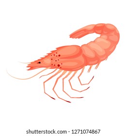 Shrimp icon. Cartoon of shrimp vector icon for web design isolated on white background