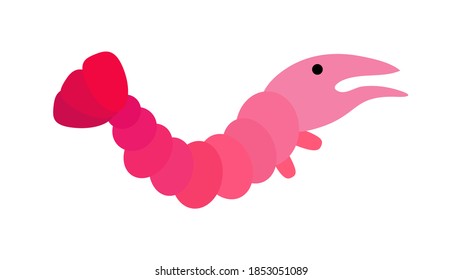 Shrimp icon in flat style, fresh sea food. Isolated on white background. Vector illustration.