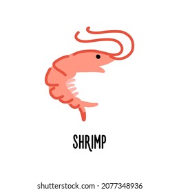 Shrimp icon in flat style isolated on white background. Vector illustration.