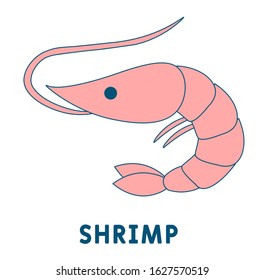 Shrimp icon , fresh sea food. for menu, recipe, web banner. EPS 10.  
Flat vector illustration  Isolated on white background