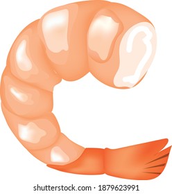 Shrimp icon. Illustration with gradient drawn shrimp