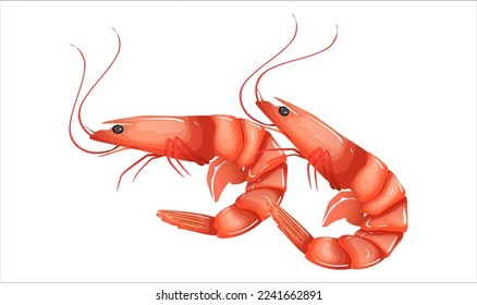 Shrimp icon isolated on white background. Seafood red prawns boiled for dish. Fresh ocean ingredient collection for restaurant menu. Two shrimps with shell and claw. Realistic flat vector illustration