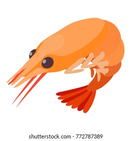 Shrimp icon. Isometric illustration of shrimp vector icon for web