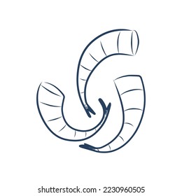 Shrimp Icon. Line Art Style Design Isolated On White Background