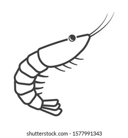 Shrimp Icon. Linear execution. Simple isolated vector on a white background.