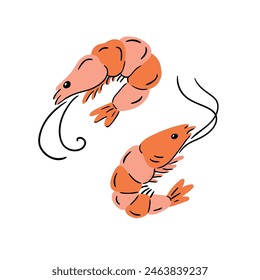 Shrimp icon set. Boiled Prawn in shell on a white background. Cute sea food vector illustration