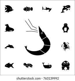 shrimp icon. Set of cute aquatic animal icons. Web Icons Premium quality graphic design. Signs, outline symbols collection, simple icons for websites, web design, mobile app on white background