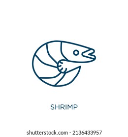 shrimp icon. Thin linear shrimp outline icon isolated on white background. Line vector shrimp sign, symbol for web and mobile