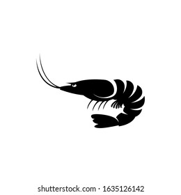 shrimp icon. vector illustration of shrimp