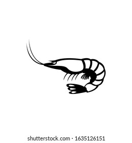 shrimp icon. vector illustration of shrimp