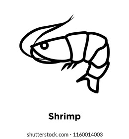 Shrimp icon vector isolated on white background, Shrimp transparent sign , line or linear sign, element design in outline style