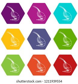 Shrimp icons 9 set coloful isolated on white for web