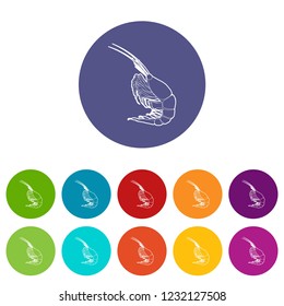Shrimp icons color set vector for any web design on white background