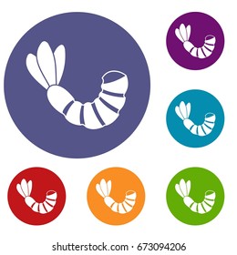 Shrimp icons set in flat circle reb, blue and green color for web