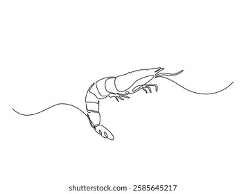 Shrimp illustration in continuous one line drawing. Prawn in one line draw. Editable vector.