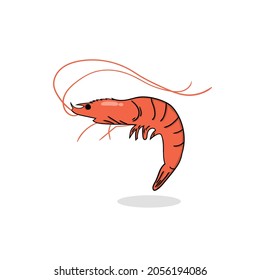 icono de vector dibujado a mano de ilustración de shrimp