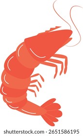 Ilustração de camarão sobre fundo branco