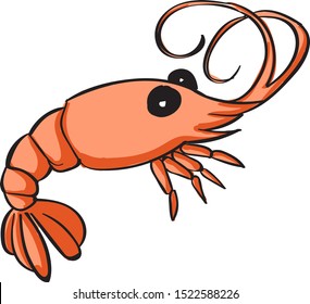 Shrimp, illustration, vector on white background.