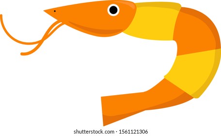 Shrimp, illustration, vector on white background.