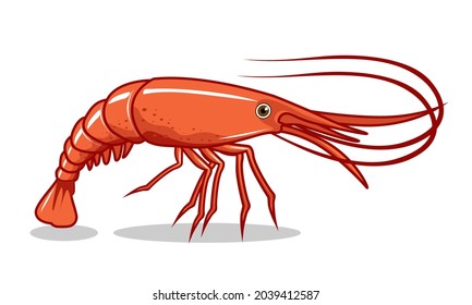 Ilustraciones camaroneras Prawn Vector Realista