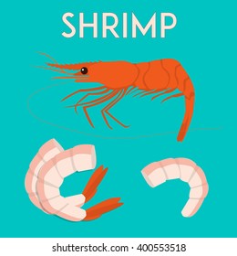 Shrimp isolated on simple background with pieces of boiled shrimp. Minimal flat vector illustration. Copy space. For print or web