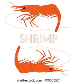 Shrimp isolated on simple white background. Minimal flat vector illustration. Copy space. For print or web