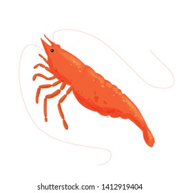 Shrimp isolated on white background. Cartoon. Vector. Logo, icon. Fresh shrimp.
