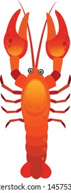 Shrimp isolated on white background. illustration vector