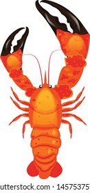 Shrimp isolated on white background. illustration vector
