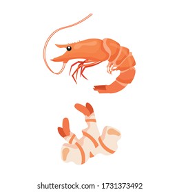 shrimp isolated on white background