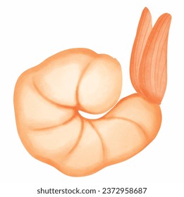 Camarón. Aislado sobre un fondo blanco. Ilustración vectorial. Pintura acuarela.