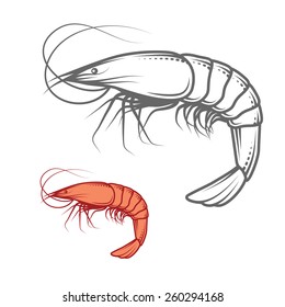 Shrimp isolated on white, photo-realistic vector illustration