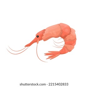 Shrimp isolated. White background. Logo. Seafood. Flat vector illustration.