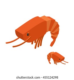Shrimp Isometric on white background. Marine arthropod animal. Oceanic plankton. Underwater crustacean