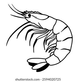 Shrimp line art drawing of Traditional Thai Bangkok Thailand Illustration 