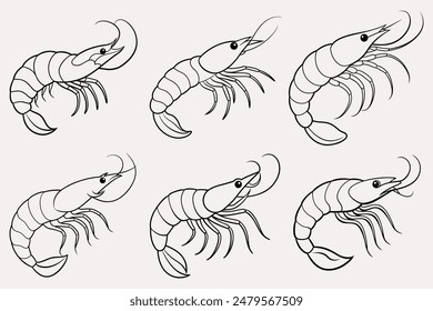 shrimp line art sea animal vector sketch illustra