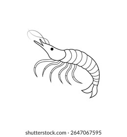 shrimp line art vector illustration