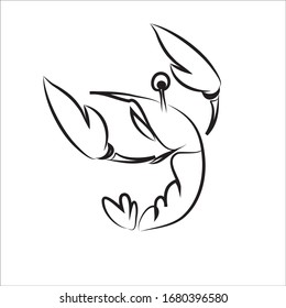 Shrimp line drawing used to create logos, media, illustrations