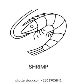 Shrimp line icon in vector, seafood illustration.