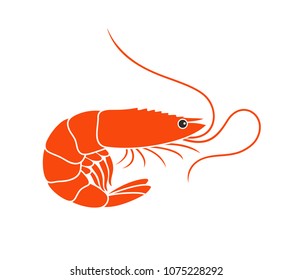 Shrimp Logo. Isolated shrimp on white background. Prawns




