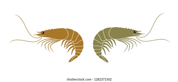 Shrimp Logo. Isolated shrimp on white background. Prawns

