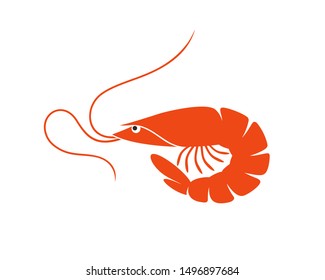 Shrimp logo. Isolated shrimp on white background. Prawns
