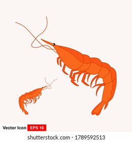 Shrimp Logo. Isolated shrimp on white background. Prawns