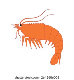Logo do camarão. Camarão isolado sobre fundo branco. Símbolo de camarão.
