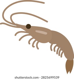 Shrimp with Long Antennae Simple Seafood Vector Illustration