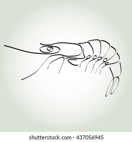 Shrimp in minimal line style vector