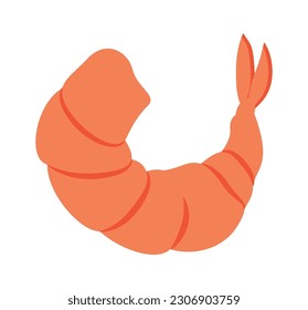 Shrimp Mollusk Seafood Vector Illustration